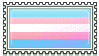 trans pride rectangle